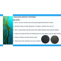 Seaweed Extract Powder Made in China